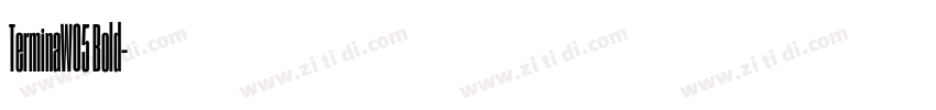 TerminaW05 Bold字体转换